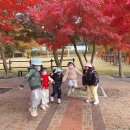 영남초병설유치원(기린샘11/7) 이미지