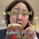 캔츄 이미지