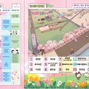 4월2일 | 2026 보은 벚꽃길 축제 4월 2일 방문후기