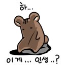 광양행정사사무소 이미지