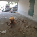 문수리이야기 이미지