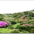 삼다도 이미지