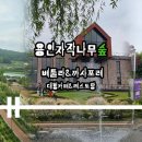 자작나무관광농원 이미지