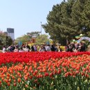 보쇼
