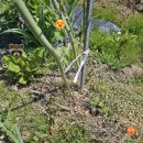 신대농장 | 4월25일 주말농장 5년차 후기 🌱 다녀오면 항상 힘든 이유