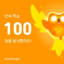 - | [후기] 듀오링고 155일 ㄹㅇ후기