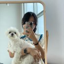 코스테펜션 | 강릉 애견동반 펜션 코스테오션뷰 펜션 내돈내산 방문후기