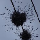 마따 - 고양시 덕양구 신원3로 20 | 마따