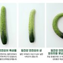 달푸드 이미지