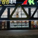 야옹아 멍멍해봐 오산점 이미지