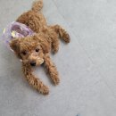 연두살롱 이미지