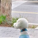 파이브카케어 이미지