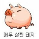 면목동-220 | 역대급 사가정피티 체험 후기 면목동헬스장 유코치의 바디스토리