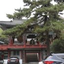사회복지법인 내원 이미지