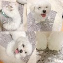 해성정수기 이미지