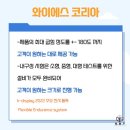 와이에스 코리아 - 서구 왕길동 | 와이에스 코리아