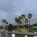 십동펜션 | 제주-김포 아시아나 OZ8980 비즈니스 탑승후기 마일리지 항공권 구매방법