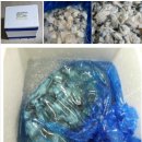 섬수산 | 생굴 각굴 동시에 통영 굴 택배주문 가능한 곳! 섬수산 후기