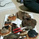 황철미가 이미지