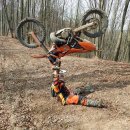 [정비] HONDA CRF250X 구입, 엔진빵꾸, 라디에이터 누수 수리