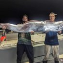 거대공인중개사사무소 이미지