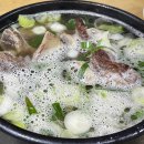 안일옥 이미지
