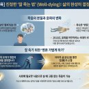삶 그리고 아름다운 마무리 Well Dying | 75강 잘 죽는 법(Well-dying)