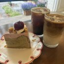 [용호동]가로수길 분위기&amp; 디저트 카페 맛집 토르테 자세한 솔직 후기+케이크 존맛탱💛