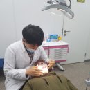 치아사랑 이미지