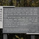 조원동성당 평화의 모후 성지순례단 해미성지 순례(2024.11.23.토) 이미지