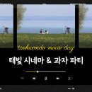 태빛태권도장 이미지