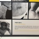 교과문학 함께 톺아보기 | ‘순이 삼촌’ 구술 평가, 사회적 애도의 장으로서의 문학