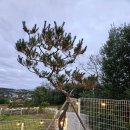 에브리댕댕 이미지