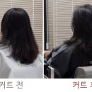 청주 미용실 추천 성화동 오슬로 헤어 후기