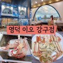 강구수협 | 영덕 대게 맛집 이오 강구점 영덕 강구항 맛집 다녀온 후기