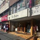 애프터 퍼피(AFTER PUPPY) | [앎짱의 도쿄뜨개여행] 12. Puppy(퍼피) 시모키타자와