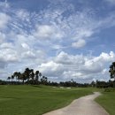 Top스크린골프클럽 | 말레이시아 조호바루 포레스트 시티 CC 골프 리조트 예약 방법 픽업 차량 호텔 이용 총정리