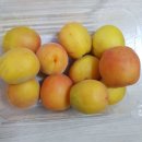 플럼마트 이미지