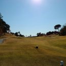 해태카센타 | [11/10] 한림용인CC (구)레이크힐스 라운드후기