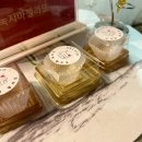 녹지마젤라또
