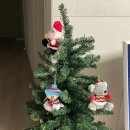 씨유안양평촌점 | #48 2025 11월 마지막주 일기