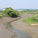 공릉천자전거도로변 이미지