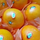 민우농장 이미지