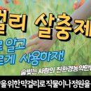 막걸리 살충제 만들기 이미지