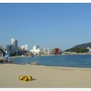 암남공원 이미지