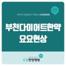 부천바로한방병원 | 부천한방병원 바로 요요현상이 나타난다면