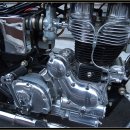 셀스타트 이미지