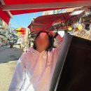 박달어린이집 | 포항 아이랑 당일치기 여행 추천 죽도시장 송도해수욕장