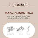 소울워시 | 타입넘버 핸드워시 N.50 소울워터 후기 숲속 온천 향의 매력 + N.09 어나더레벨 핸드크림 비누향에 빠져🫧