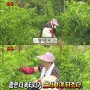 씨피테라피